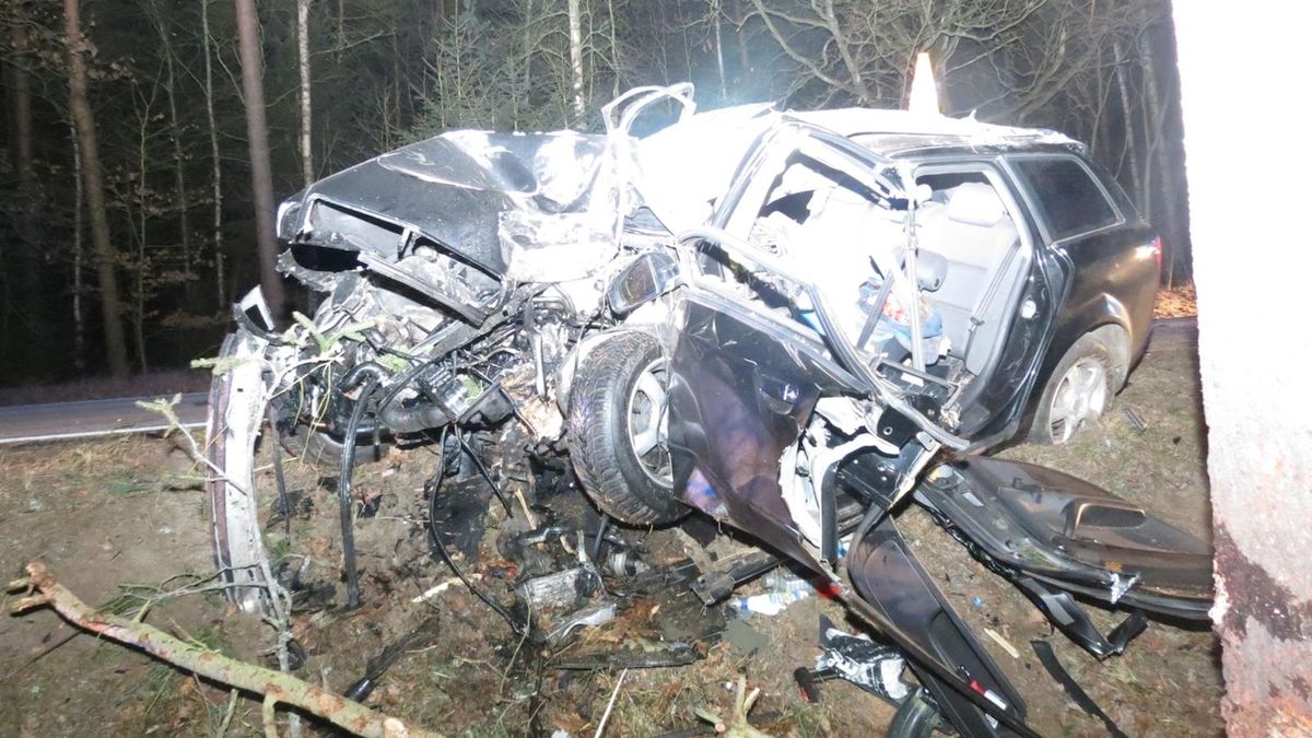 Devatenáctiletý řidič nezvládl řízení a zdemoloval auto o strom. Na místě zemřel